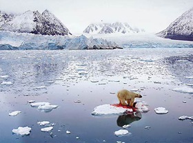 Ameaça: calotas polares derretidas
